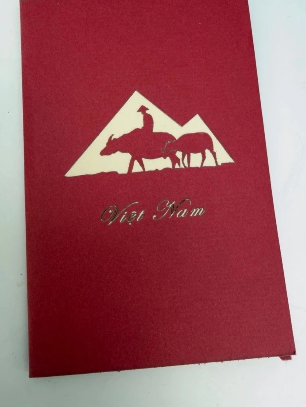 Vietnamese Pop-Up Greeting Cards Set Red & Cream